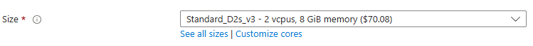 VM size